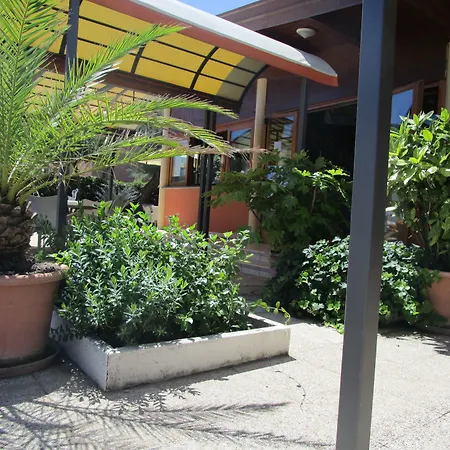 Primavera 2* 西尼加利亚