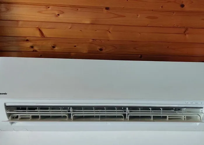 Primavera 2* 西尼加利亚