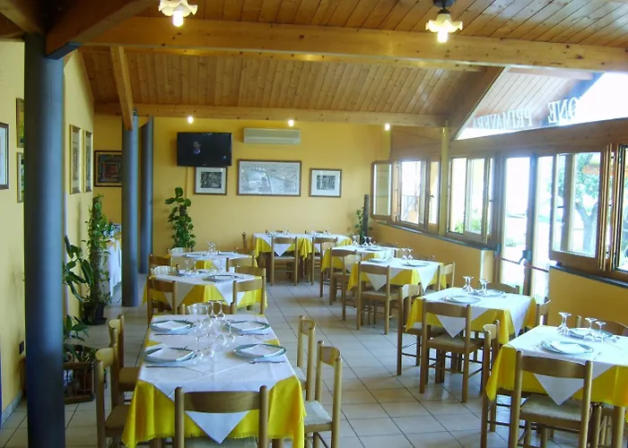 Primavera 2* 西尼加利亚