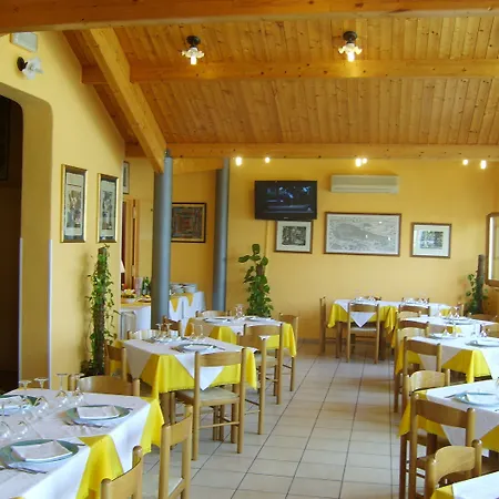 Primavera Hotel Senigallia