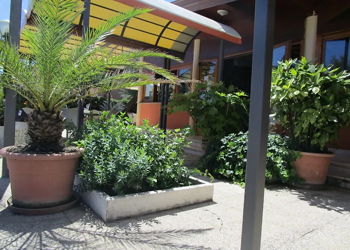 Primavera 2* Senigallia