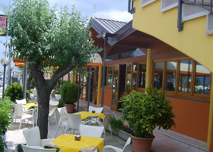 Primavera 2* Senigallia